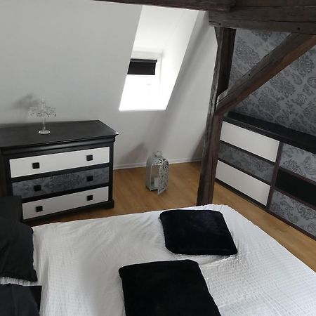 Appart Chaleureux Кольмар Экстерьер фото