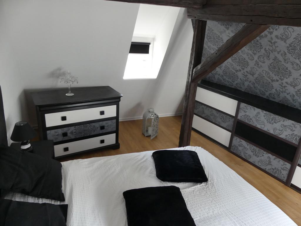 Appart Chaleureux Кольмар Экстерьер фото