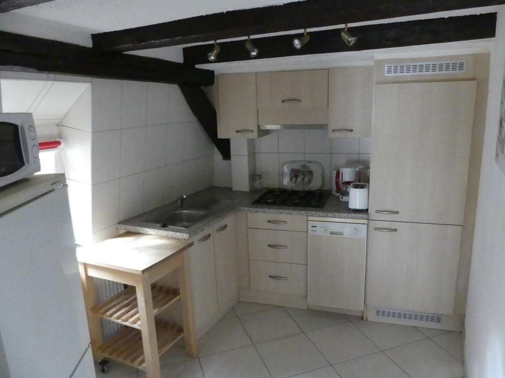 Appart Chaleureux Кольмар Экстерьер фото